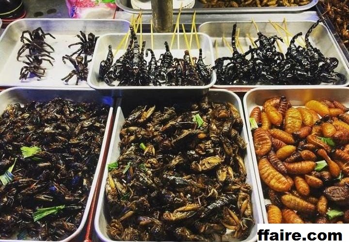 6 Makanan Serangga Goreng Terlaris Di Thailand