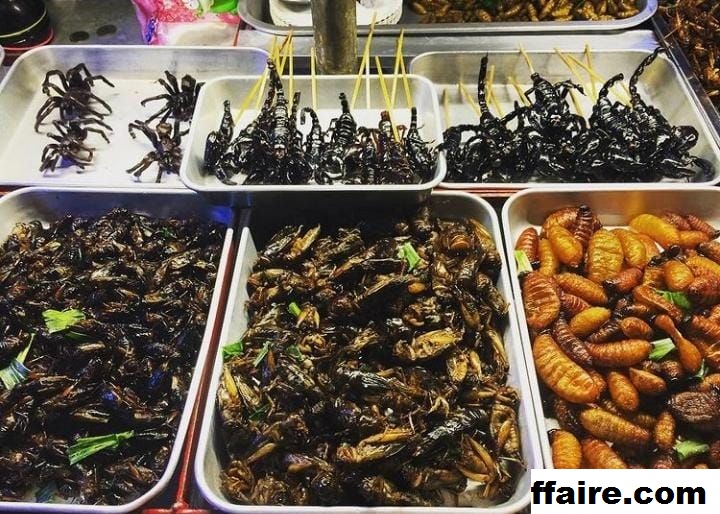 6 Makanan Serangga Goreng Terlaris Di Thailand